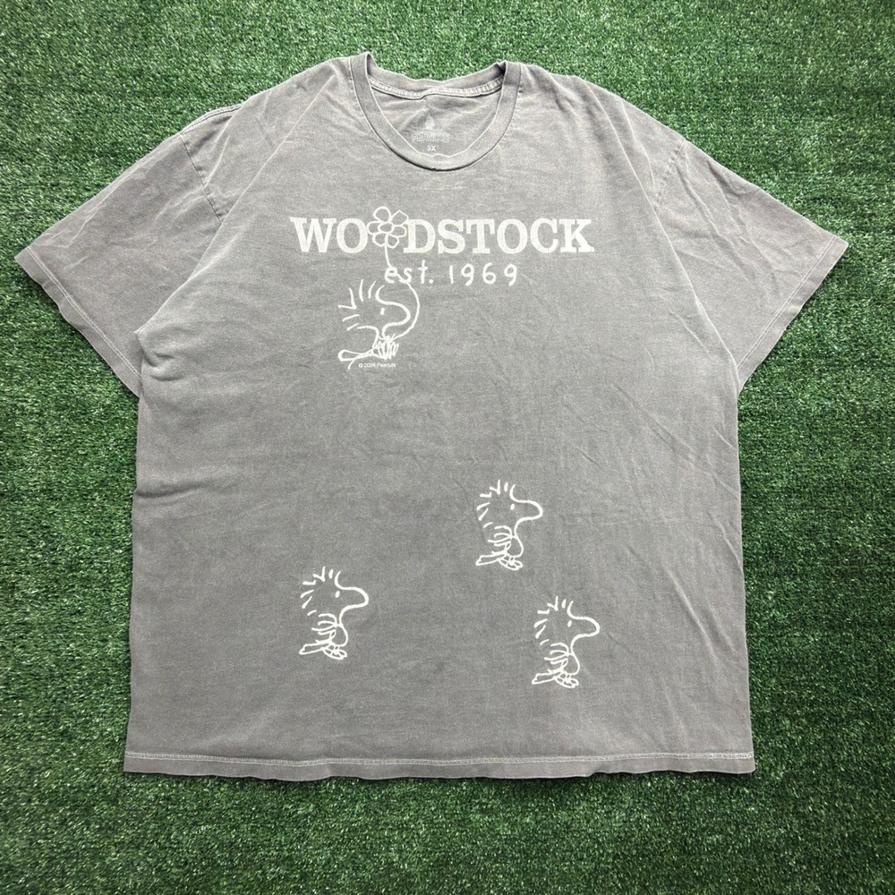 Peanuts Woodstock Est 1969 Faded Gray Graphic T-Shirt Mens 3X
